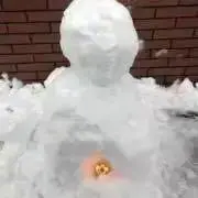ぴかの画像