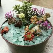 えま