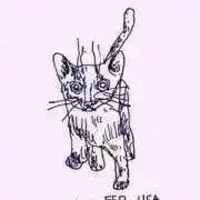 meow*の画像