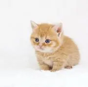 じんの画像