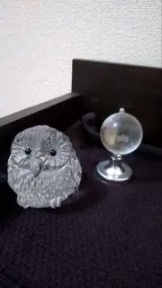 ピッチャミ【プロフ確認お願いします❢】の画像