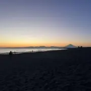 Mの画像