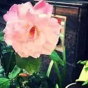 プロフ必読☺︎Runの画像