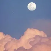 min.* プロフ必読／即購入◎