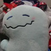 フリージアの画像