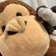 まおり