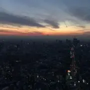 Yuの画像