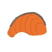 サーモンの画像
