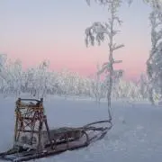 ノアの画像