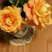 ごんじろう