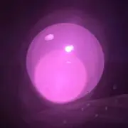 むーたろう