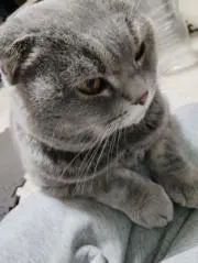 ゆか