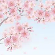 ぱーるの画像
