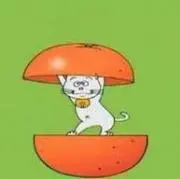 あにょはせよ