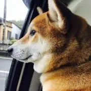 ☆RiRi☆の画像