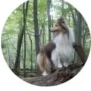 山田の画像