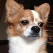 モリタツ