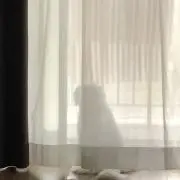 pinokunの画像