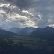 松