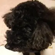 hokuの画像