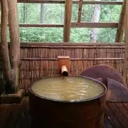 でんだこのーの画像