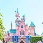 ゆの画像