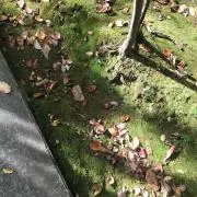 heee