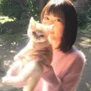 ぽん