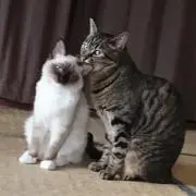 なお(^ ^) プロフ読んでね！の画像
