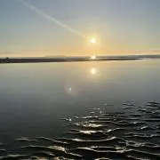 oshilucoの画像
