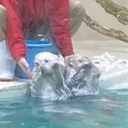 ぬぬぬの画像