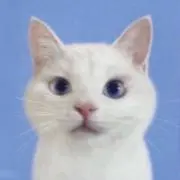 りーにょの画像