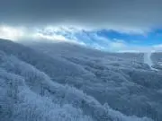MoMAの画像