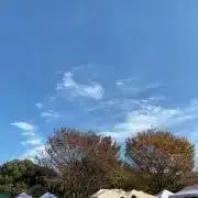 羊❗️引っ越すため断捨離中の画像