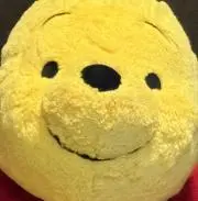ナニガシの画像