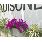 あきの画像