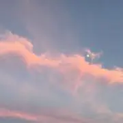 みみの画像