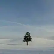 AGの画像