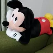 リーダーの画像