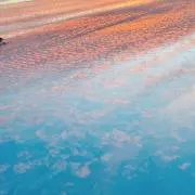 azの画像