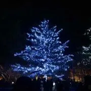 かっこ