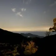 たろうの画像