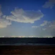 y*u様 顎模型 - メルカリ