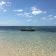 青の画像
