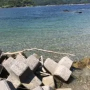 ひなき