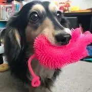 るーちゃん