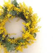 Oliveの画像