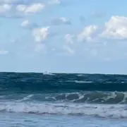 ルイルイ