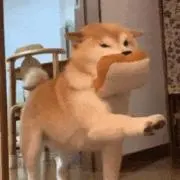 草かしわ餅の画像