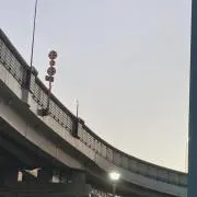 みかんの画像